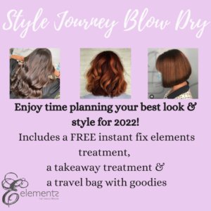 Style Journey Blow Dry 1 1