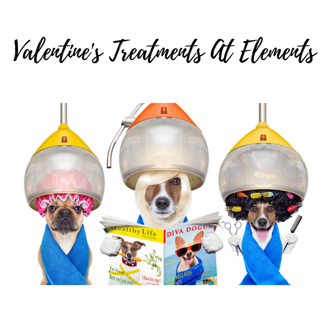 Hair Treatments At Elements